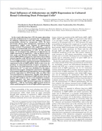 Full-text
