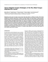 Full-text