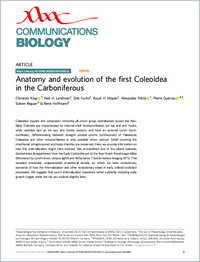 Full-text