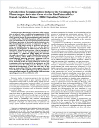 Full-text