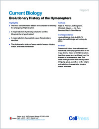 Full-text