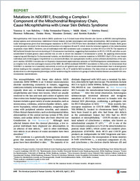 Full-text