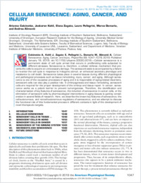 Full-text