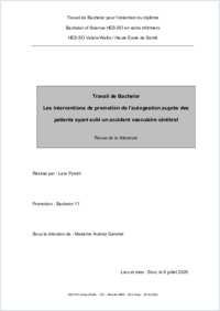 TB_2020_Pyroth.Lara_Bach17.pdf