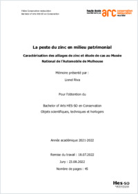 2022_BA-CROSTH-Riva-Lionel-PesteZincMilieuPatrimonial.pdf