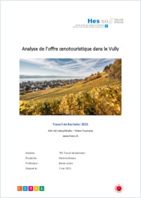 Bineau_Malorie_2021_TBSansAnnexe.pdf