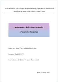 ChérylBoinay_TravaildeBachelor.pdf