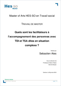 TM_Ates_2024.pdf