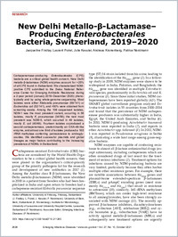 2021_21-1265_newdelhimetallo--lactamaseproducingenterobacteralesbacteriaswitzerland20192020