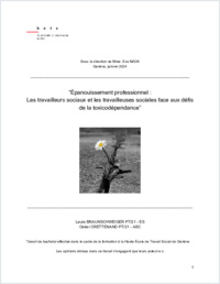 TBS_1331_Braunschweiger_Crettenand.pdf