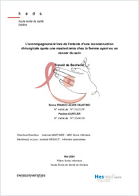 Bachelor_SI_2024.pdf