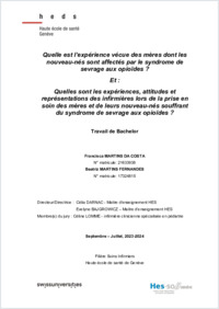 Travaildebachelor(tdb).pdf