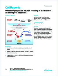 duerr_cellreports_2025_0