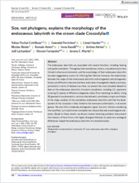 journalofanatomy-2024-pochatcottilloux-sizenotphylogenyexplainsthemorphologyoftheendosseouslabyrinthin
