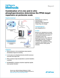 brunner_2025_cellrepmthods_pp2a_obipha_0