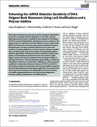 small-2025-domljanovic-enhancingthemirnadetectionsensitivityofdnaorigamibookbiosensorsusinglock_0