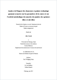 TM_Cerutti_Alice.pdf