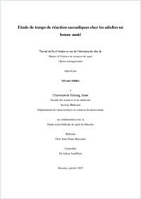 TM_Mueller_Sylvain.pdf