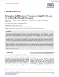 advfunctmaterials-2025-lee-bioinspiredstabilizationoffluorescentausio2tracersformultimodalbiological_0