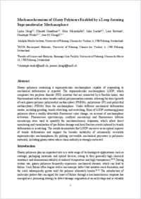 loop-pmma_260218_final