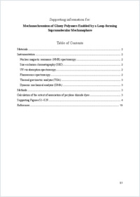 si-loop-pmma_260218_final