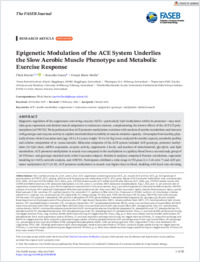 thefasebjournal-2026-martin-epigeneticmodulationoftheacesystemunderliestheslowaerobicmusclephenotypeand