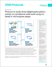 brunner_2026_starprotocol_obika_obipha_1