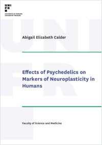 phd_calderae.pdf