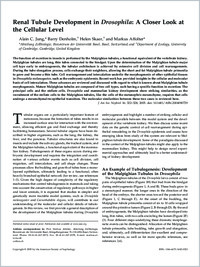 Full-text