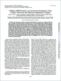 Full-text